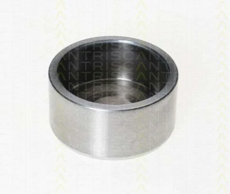 Piston, brake caliper (8170 232141)