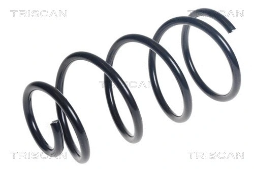 Suspension Spring (8750 27129)