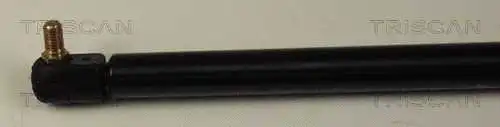 Gas Spring, boot/cargo area