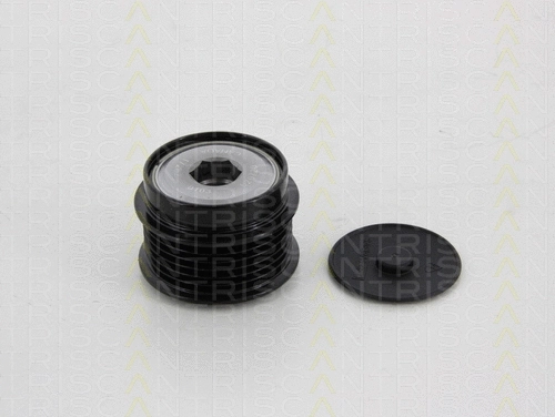 Alternator Freewheel Clutch (8641 804003)