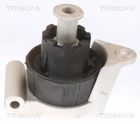 Mounting, engine