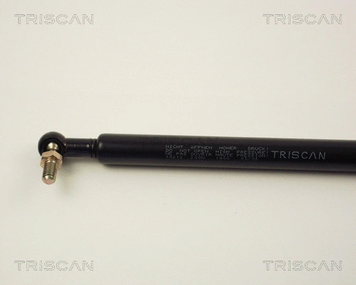 Gas Spring, boot/cargo area