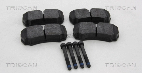 Brake Pad Set, disc brake (8110 16026)