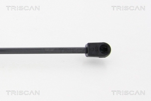 Gas Spring, boot/cargo area