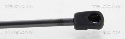 Gas Spring, bonnet