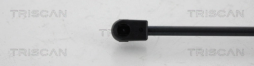 Gas Spring, boot/cargo area