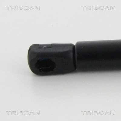 Gas Spring, boot/cargo area