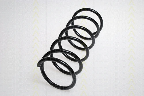 Suspension Spring (8750 6925)