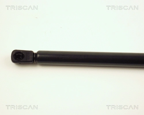 Gas Spring, boot/cargo area