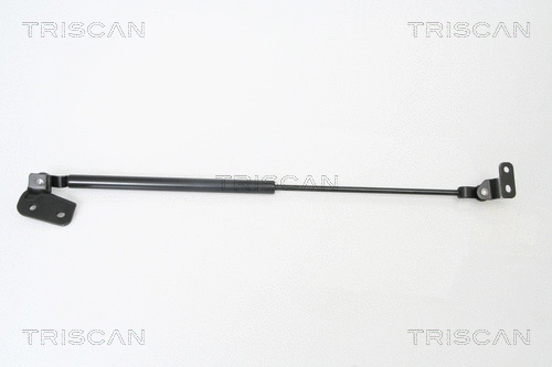 Gas Spring, boot/cargo area (8710 18222)