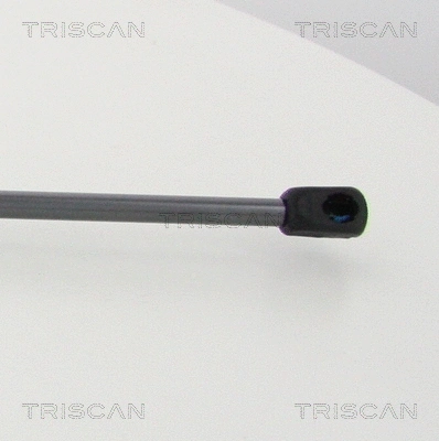 Gas Spring, boot/cargo area