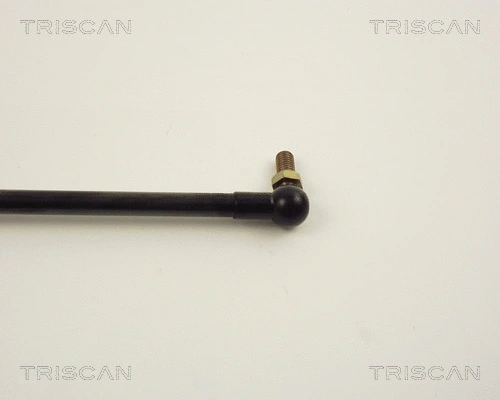 Gas Spring, boot/cargo area