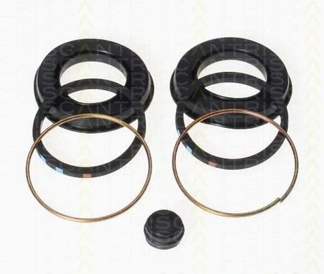 Repair Kit, brake caliper (8170 203602)