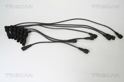 Ignition Cable Kit (8860 4200)