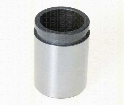 Piston, brake caliper (8170 233854)