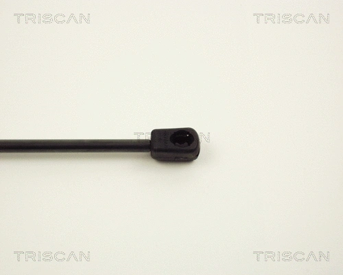 Gas Spring, boot/cargo area