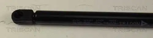 Gas Spring, boot/cargo area