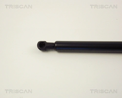 Gas Spring, boot/cargo area