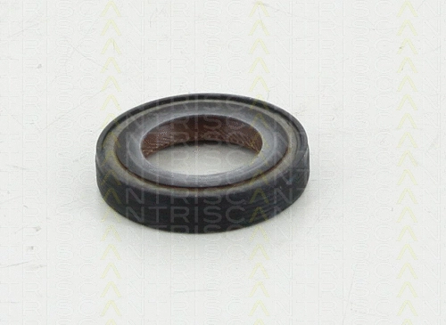 Shaft Seal, differential
