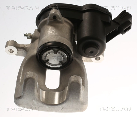 Brake Caliper (8175 25222)
