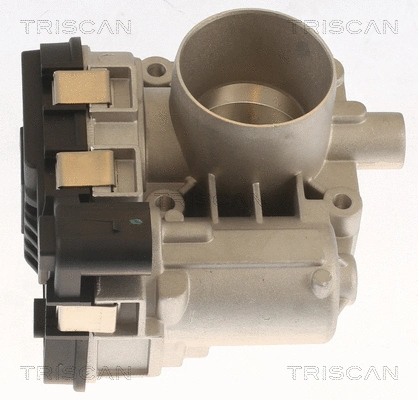 Throttle Body (8820 10005)