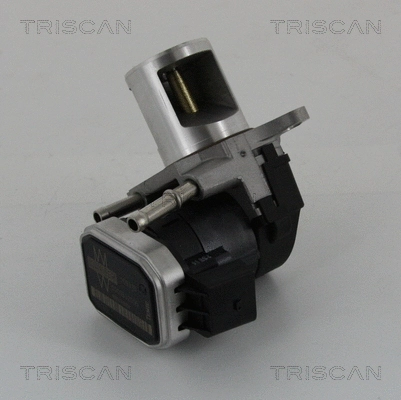 EGR Valve (8813 23016)