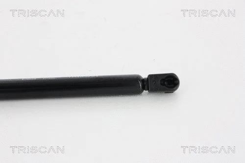 Gas Spring, boot/cargo area