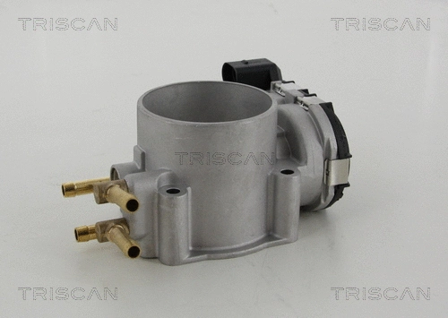 Throttle Body (8820 29009)