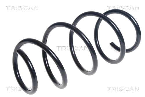 Suspension Spring (8750 29394)