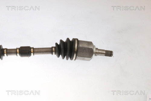 Drive Shaft