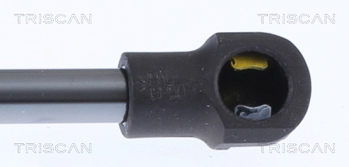 Gas Spring, boot/cargo area