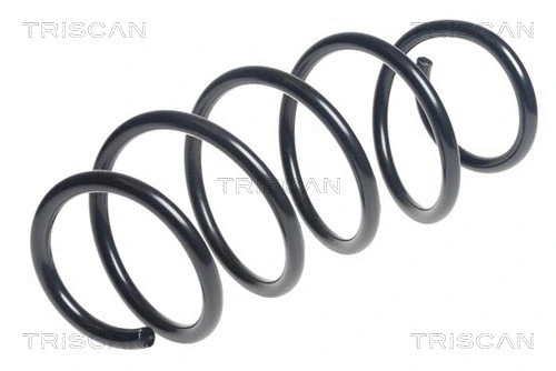 Suspension Spring (8750 11207)