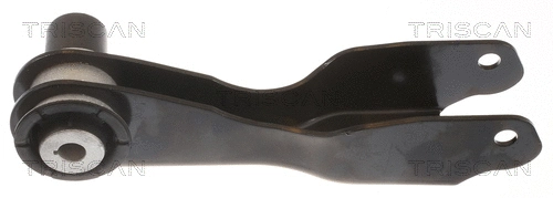 Control/Trailing Arm, wheel suspension (8500 165062)