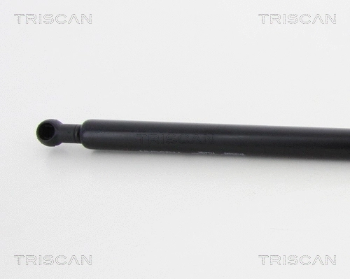 Gas Spring, boot/cargo area