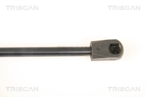 Gas Spring, rear window