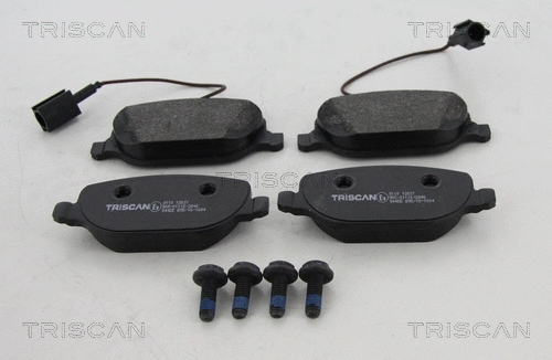 Brake Pad Set, disc brake (8110 12021)