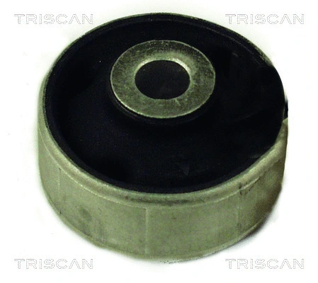 Mounting, control/trailing arm (8500 29847)