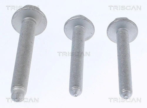 Repair Kit, wheel suspension (8500 29401)