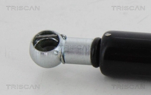 Gas Spring, boot/cargo area