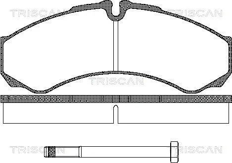 Brake Pad Set, disc brake (8110 15013)