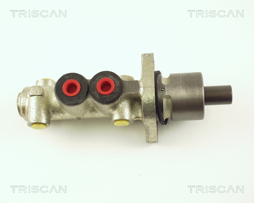 Brake Master Cylinder (8130 25109)