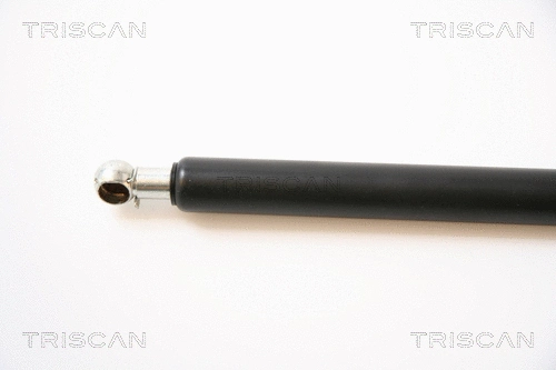 Gas Spring, boot/cargo area