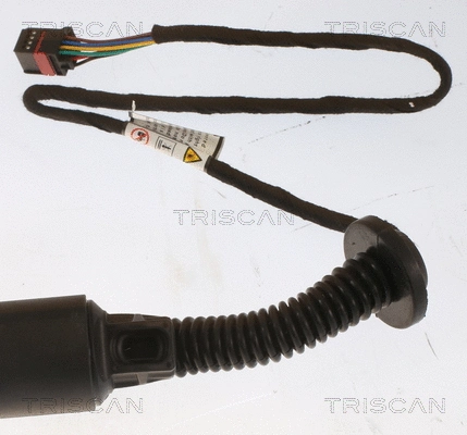 Gas Spring, boot/cargo area