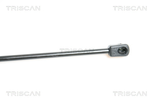 Gas Spring, boot/cargo area