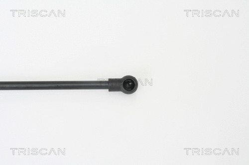 Gas Spring, boot/cargo area