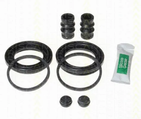 Repair Kit, brake caliper (8170 204861)