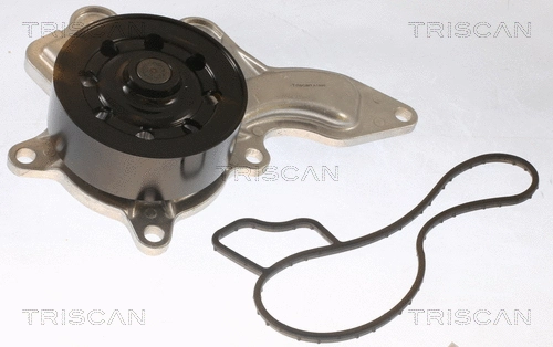 Water Pump, engine cooling (8600 13053)