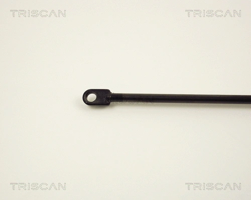 Gas Spring, boot/cargo area