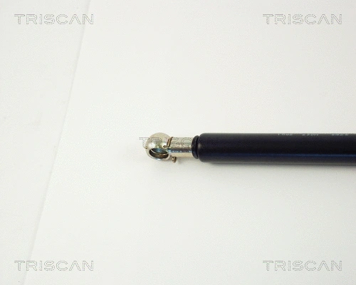 Gas Spring, boot/cargo area