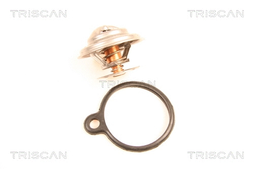 Thermostat, coolant (8620 10091)
